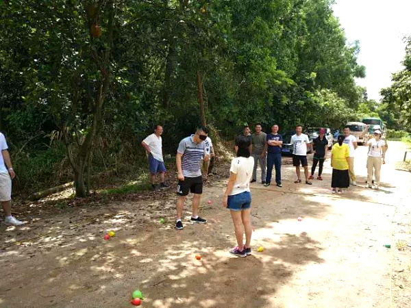 深圳彩生活公司在龍華農(nóng)家樂九龍山生態(tài)園開展戶外拓展活動(dòng)