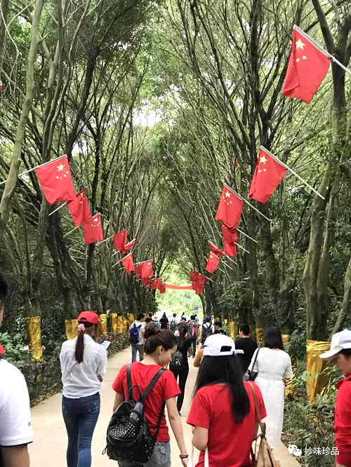 到達(dá)九龍生態(tài)園