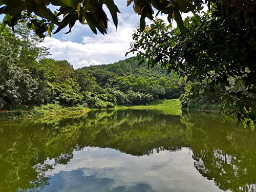 居眾設計院助理部深圳九龍山生態園團建活動