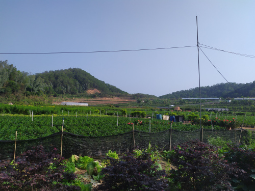 深圳農家樂坪山九龍生態園開園啦